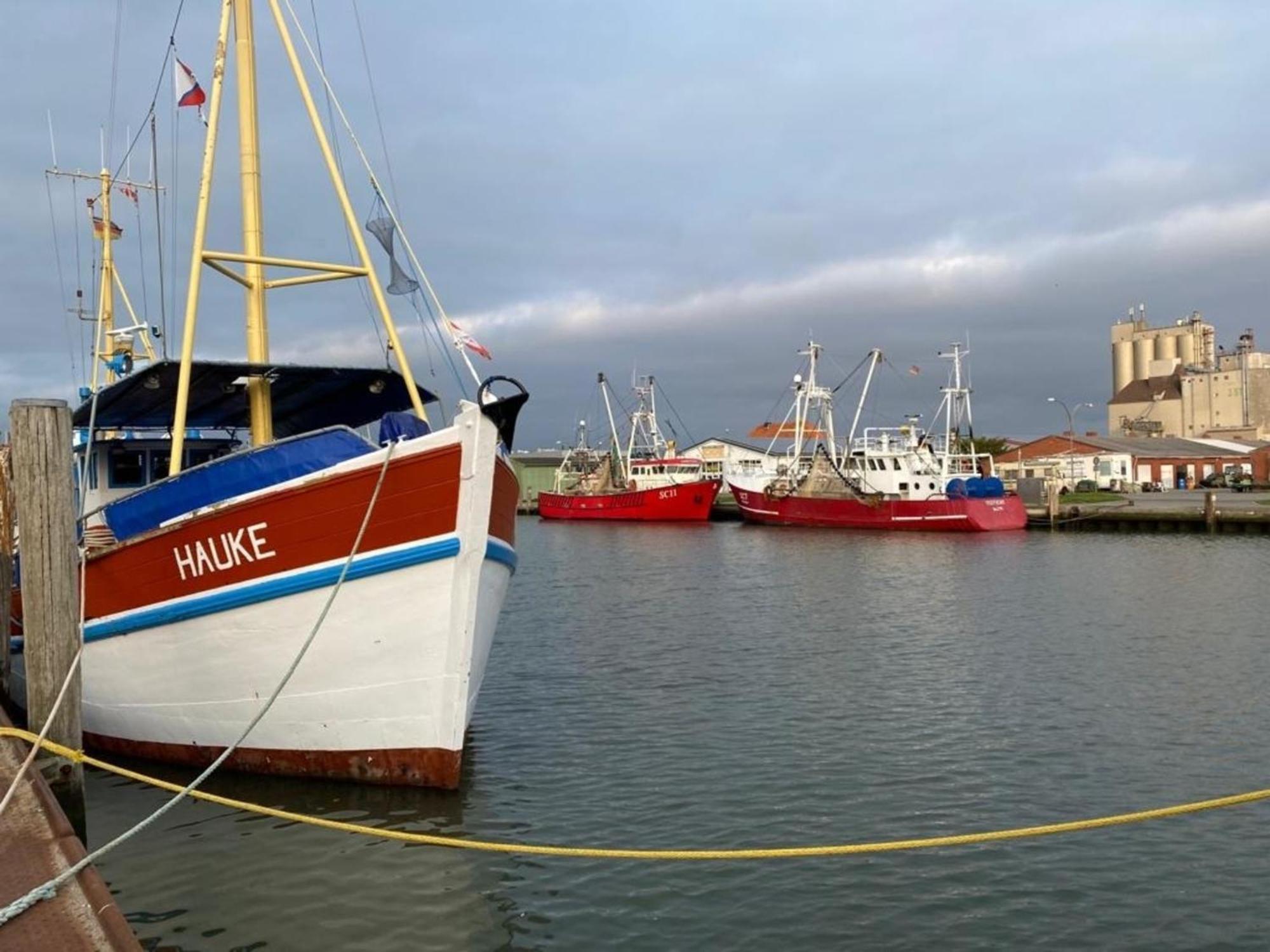 Leuchtturm Büsum, EXKLUSIV, SAUNA Exterior foto